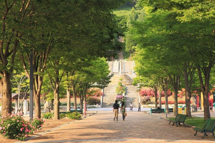 Gifu World Rose Garden 4