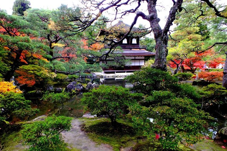 วัดกินคะคุจิ (Ginkakuji) 2