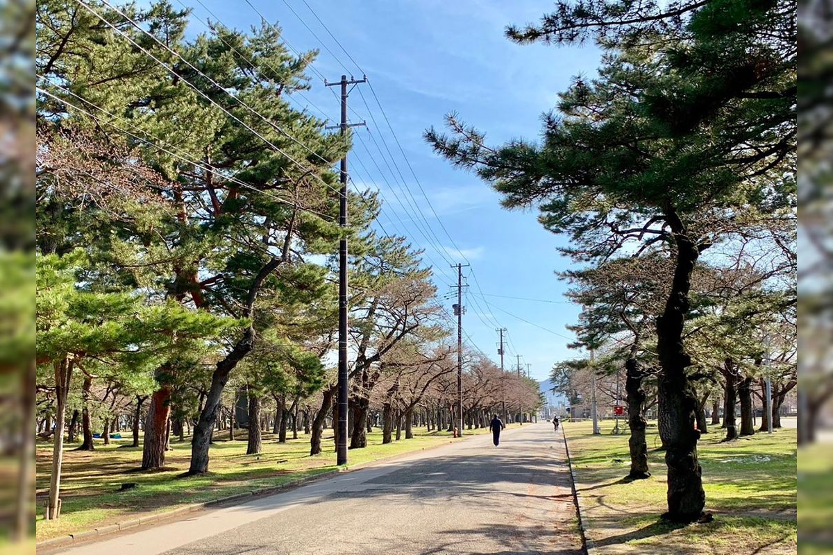 Guppo Park