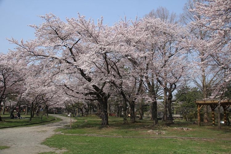 Guppo Park 2