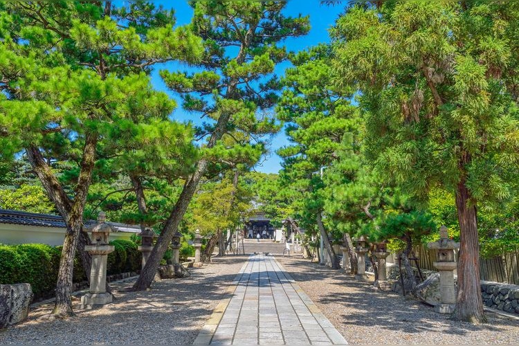 고쿠노미야 신사 (Gokounomiya Shrine) 2