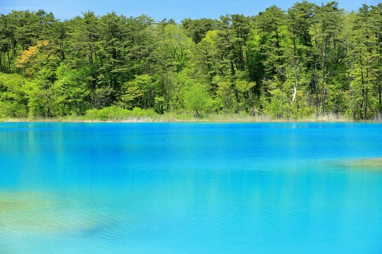 Goshikinuma Lakes (Goshikinuma Entrance)