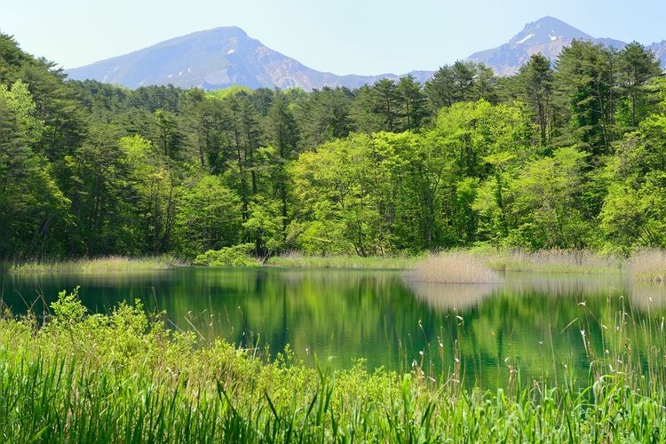 Goshikinuma Lakes (Goshikinuma Entrance) 2