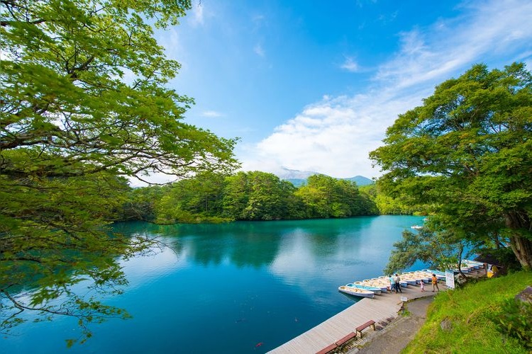 Goshikinuma Lakes (Goshikinuma Entrance) 3
