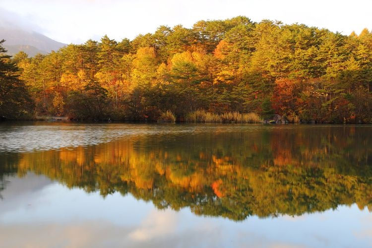 Goshikinuma Lakes (Goshikinuma Entrance) 4