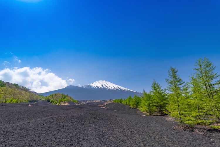 Nueva Quinta Estación de Gotemba (Monte Fuji)