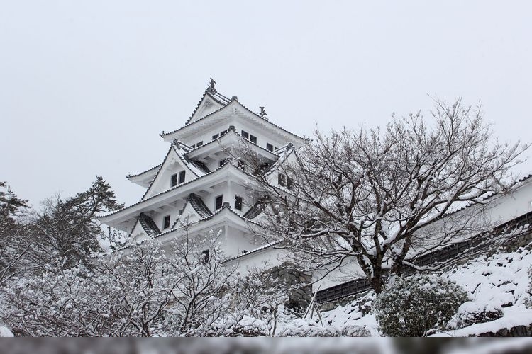 Guijo Hachiman Castle 3