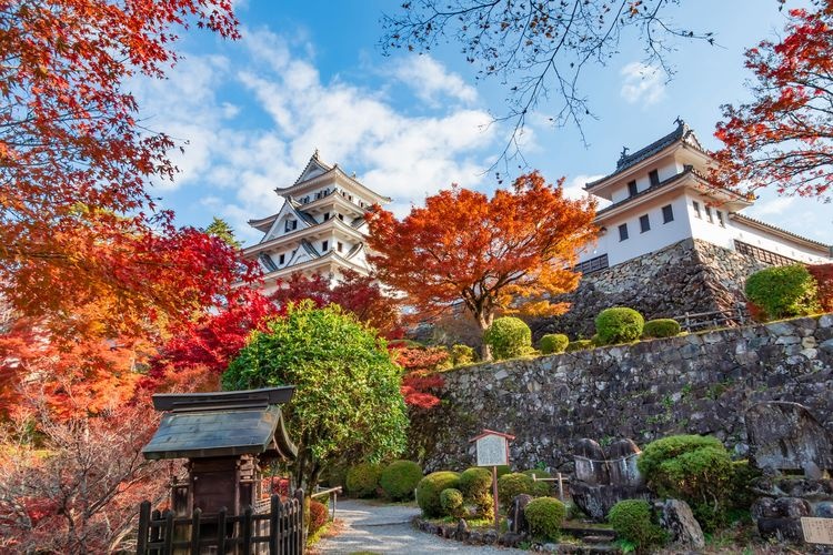 郡上八幡城 6