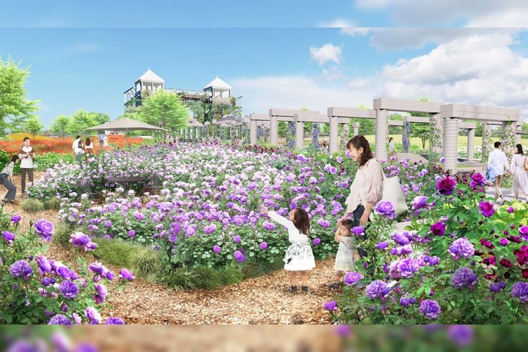 Gunma Flower Park Plus 4