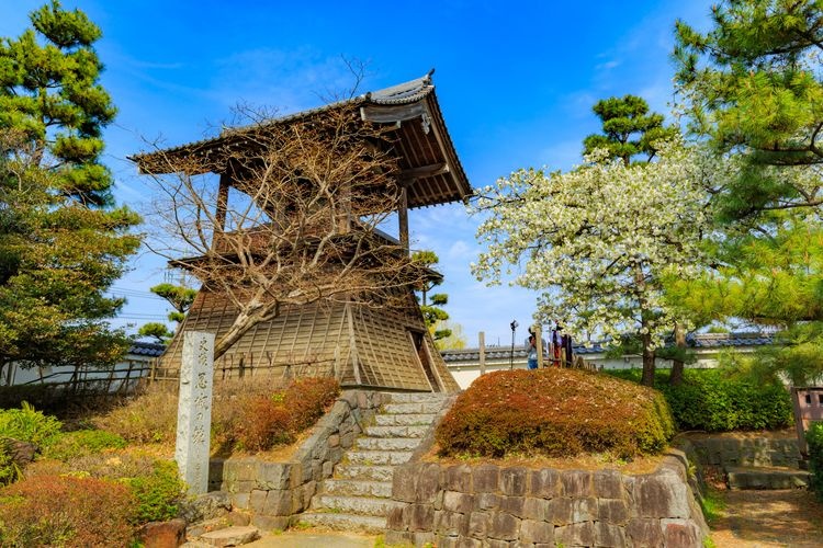 Gyoda City Museum (Oshi Castle Site) 2