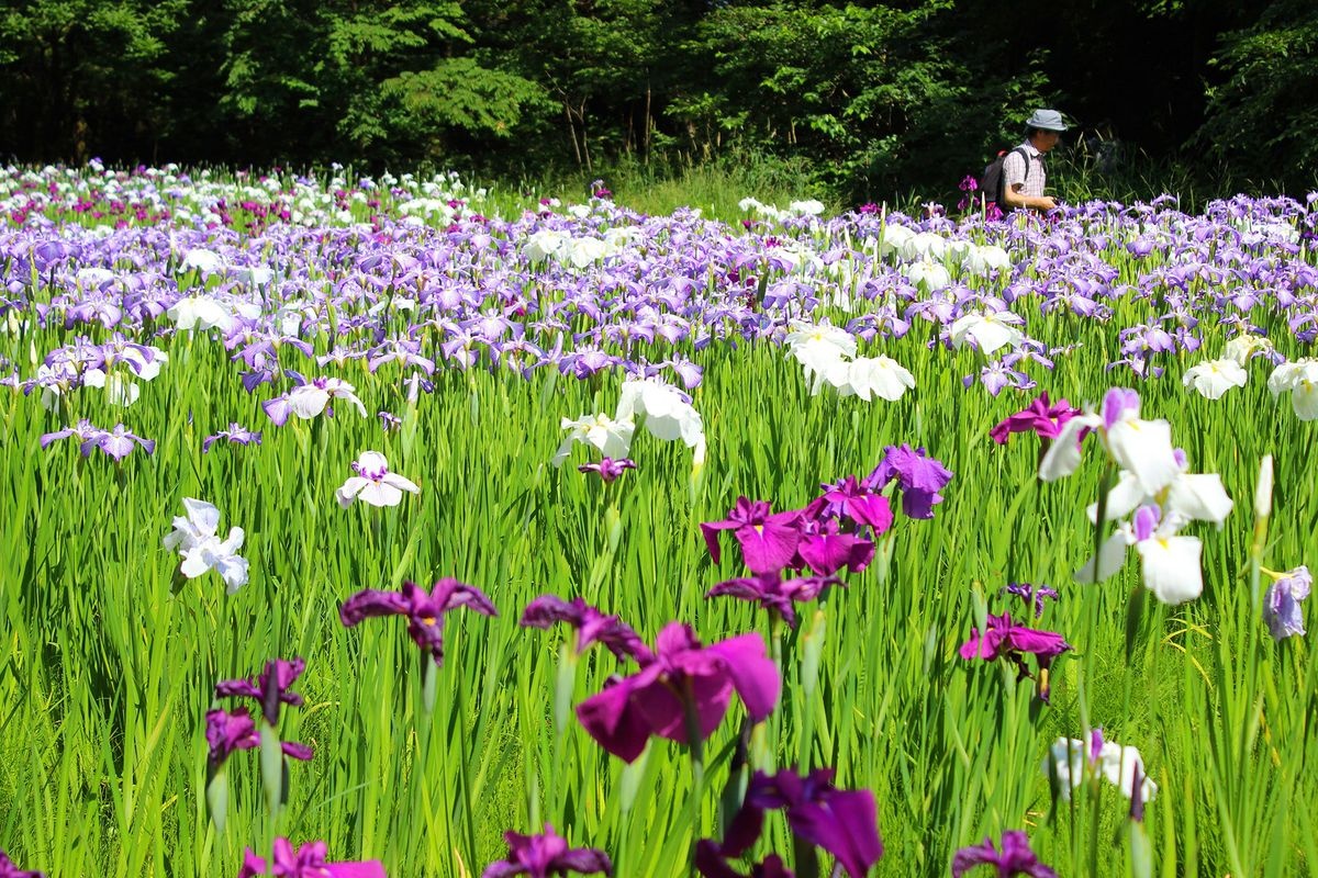 行田公園 (Gyoden Park)