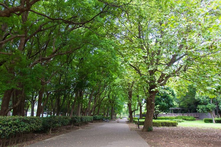 行田公園 (Gyoden Park)