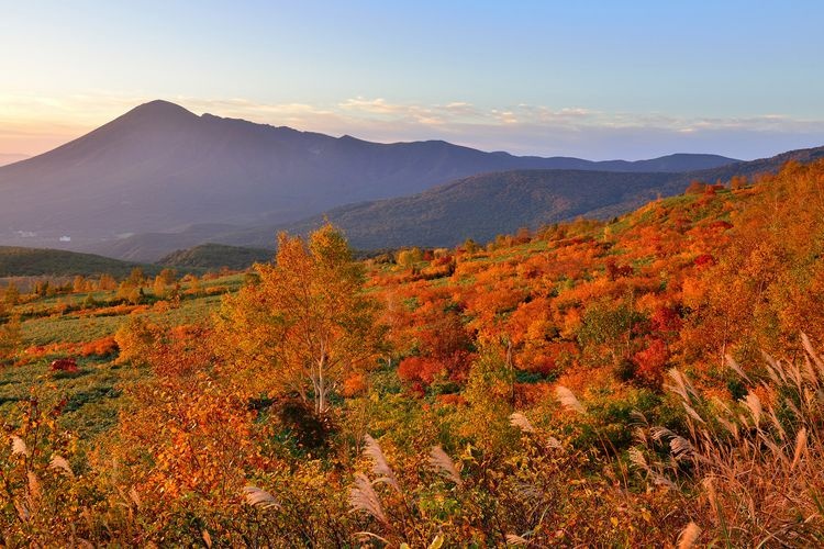八幡平山頂自然探勝路 4