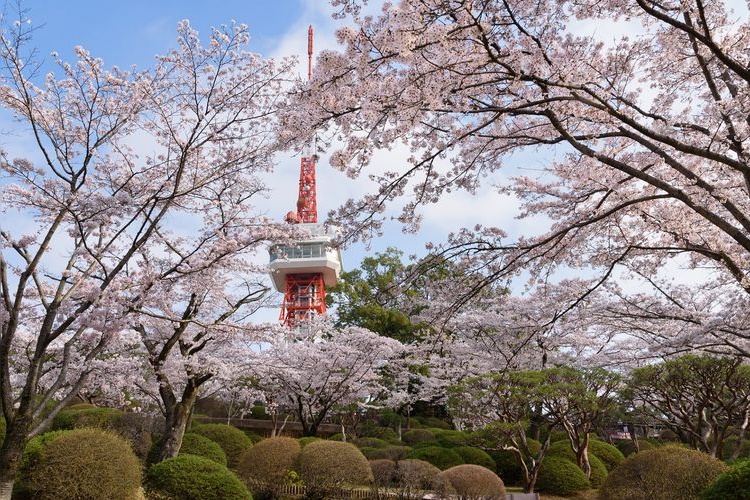Hachimanyama Park 3