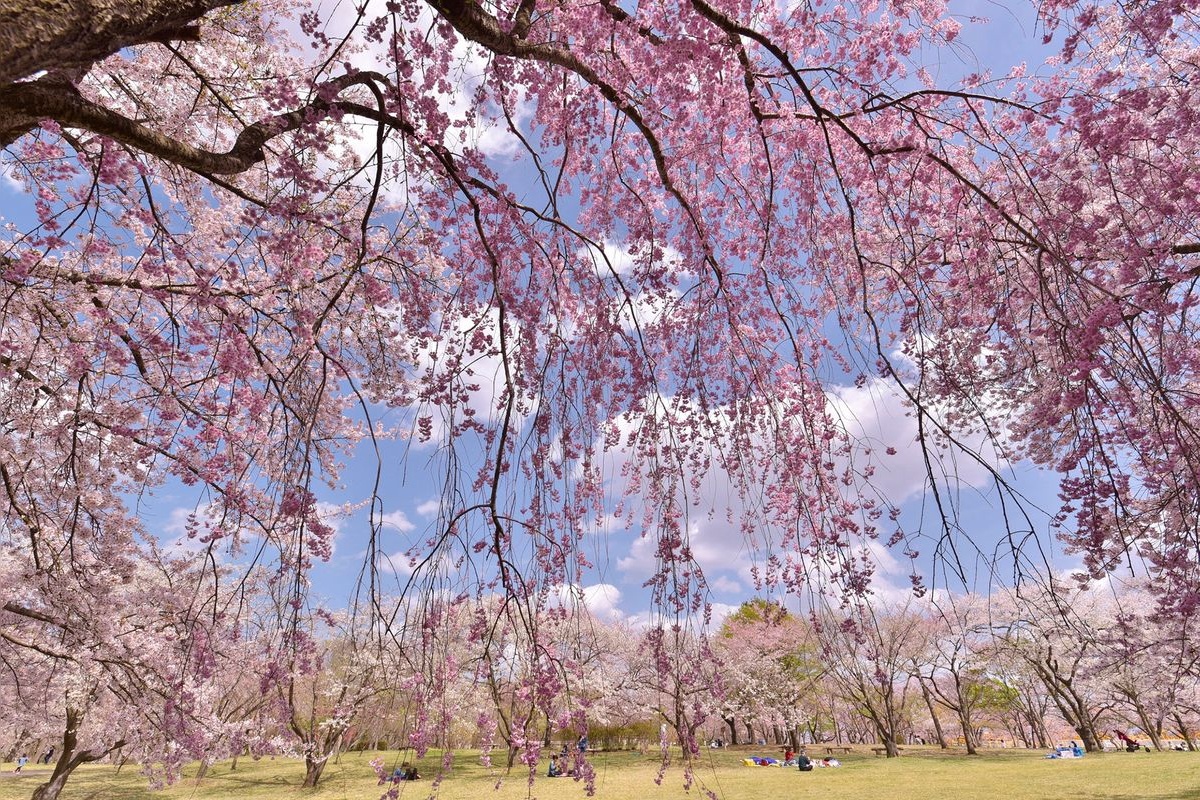 八戸公園