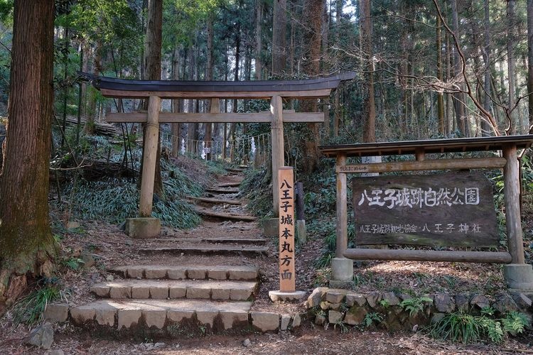 八王子城跡 3