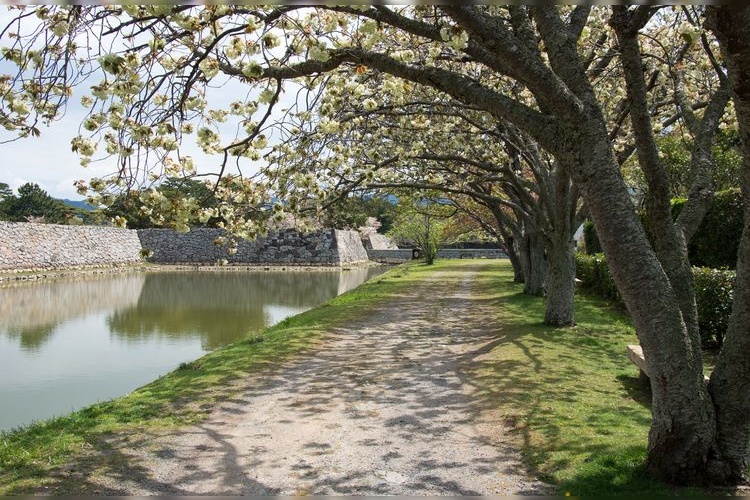 萩城跡(指月公園) 4
