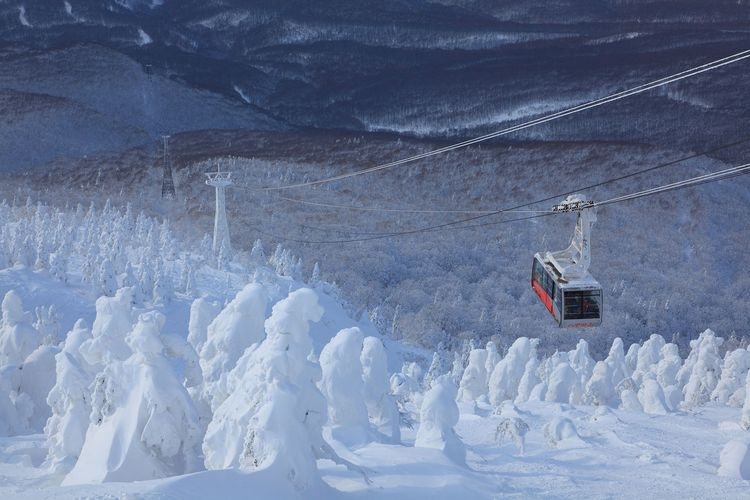 八甲田山