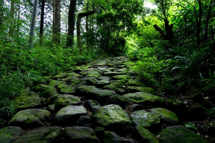 ทางเดินหินโบราณ Hakone Kyu-Tokaido