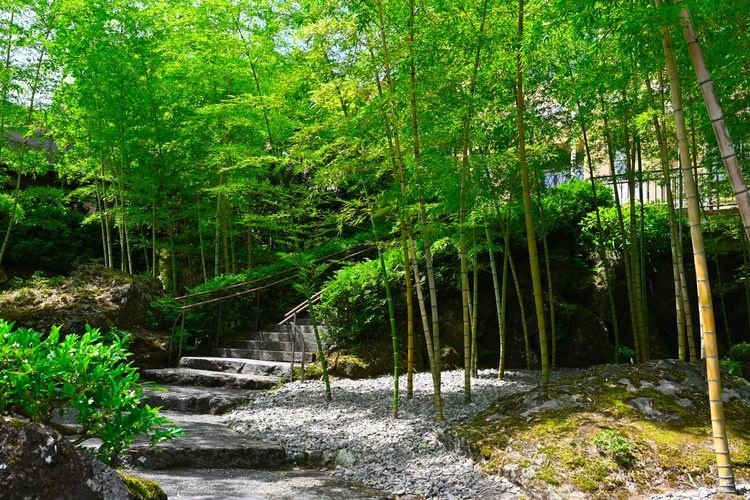 The Hakone Museum of Art