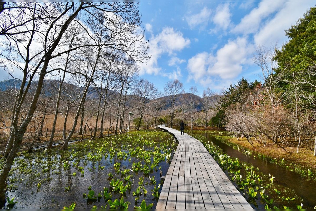 Hakone Wetland Gardens