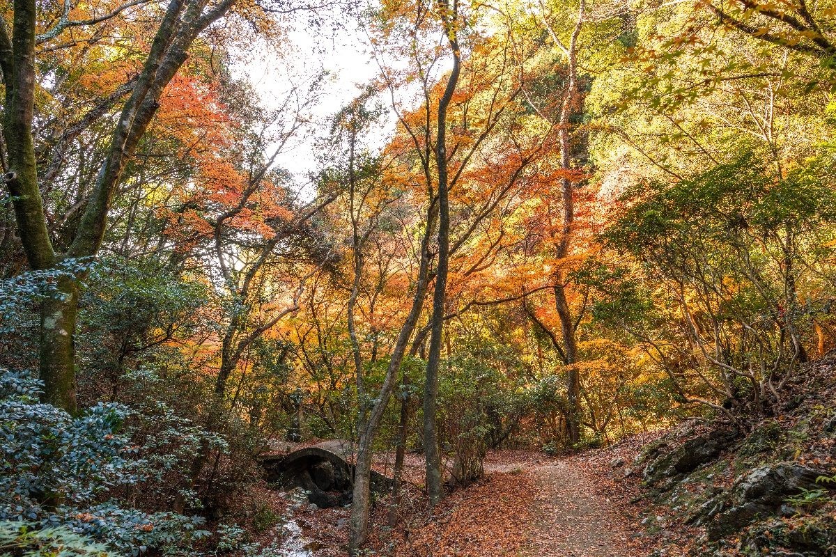 Hakuma-kei Valley