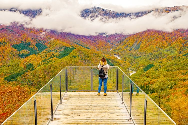 HAKUBA MOUNTAIN HARBOR