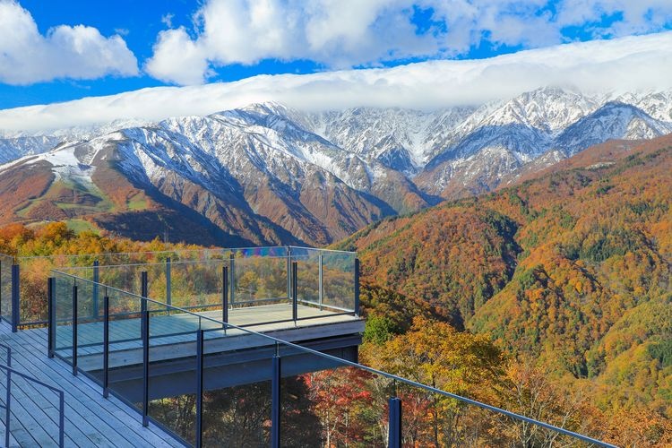 HAKUBA MOUNTAIN HARBOR 2