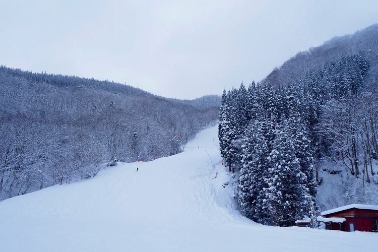 Hakuba47 Winter Sports Park