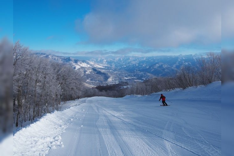 Hakuba47 Winter Sports Park 3