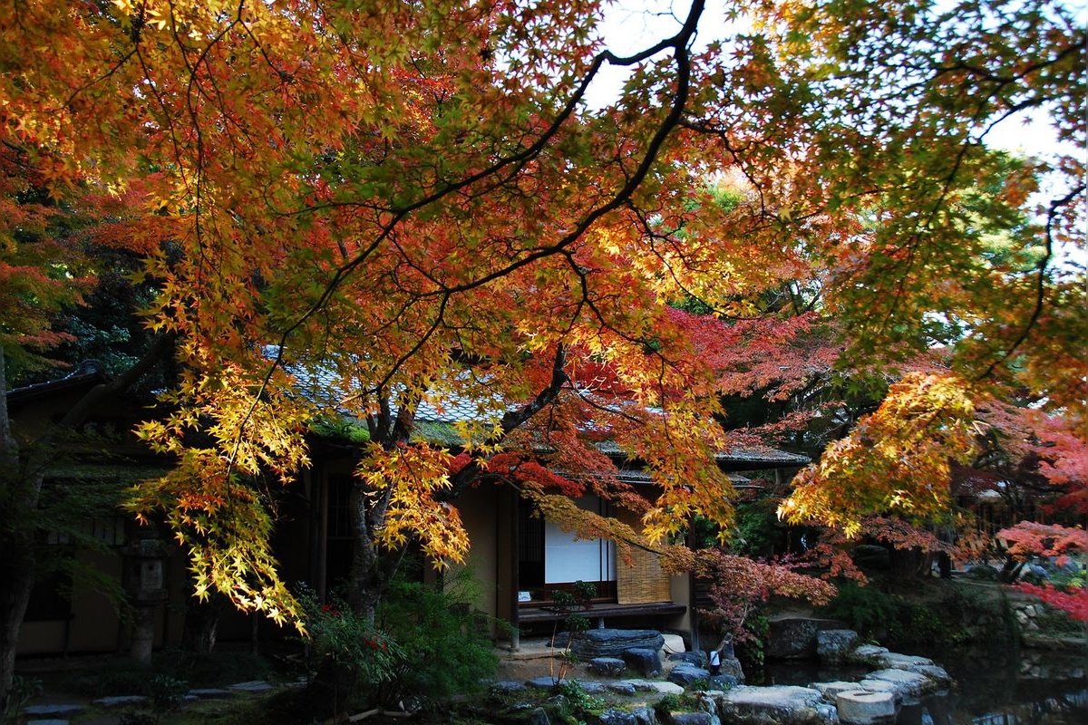 Hakusa Sonso - Musée de l'artiste de peinture japonaise de Kasseki Hashimoto