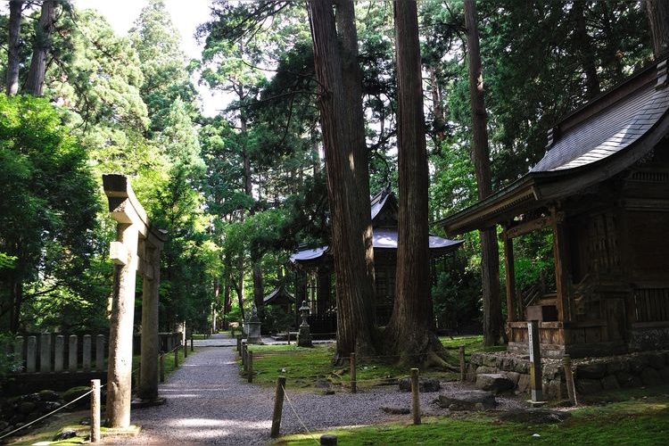 Haisenzu Shirayama Shrine
