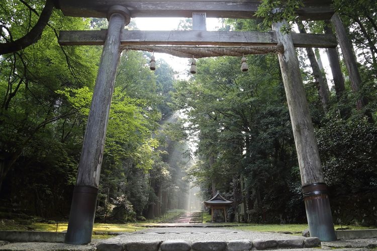 Haisenzu Shirayama Shrine 6