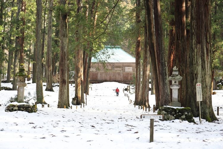 Haisenzu Shirayama Shrine 8