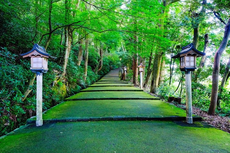 Shirayama Hime Jinja 2