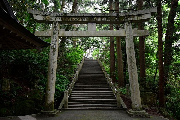 Shirayama Hime Jinja 3