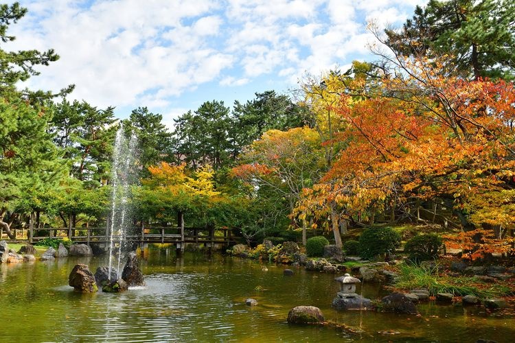 Hakusan Jinja 2