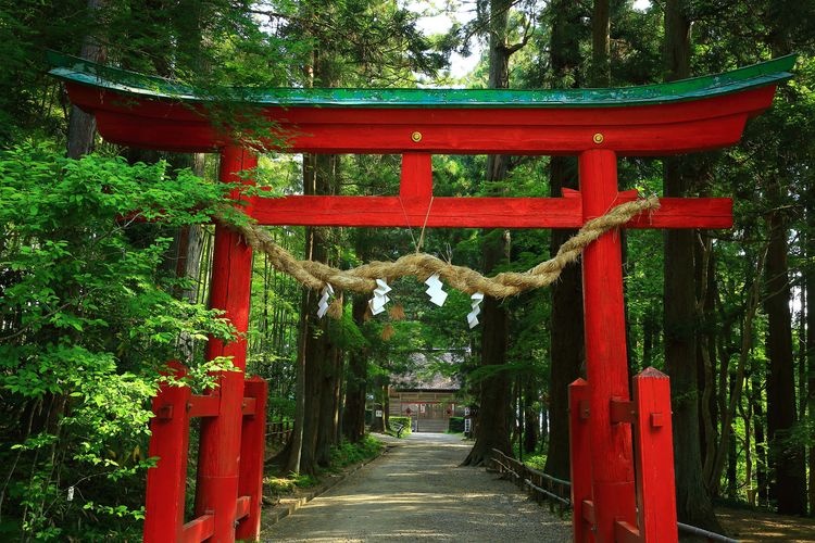 하쿠산 신사 (Hakusan Jinja) 2