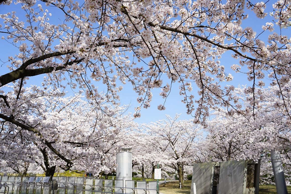 白山公園