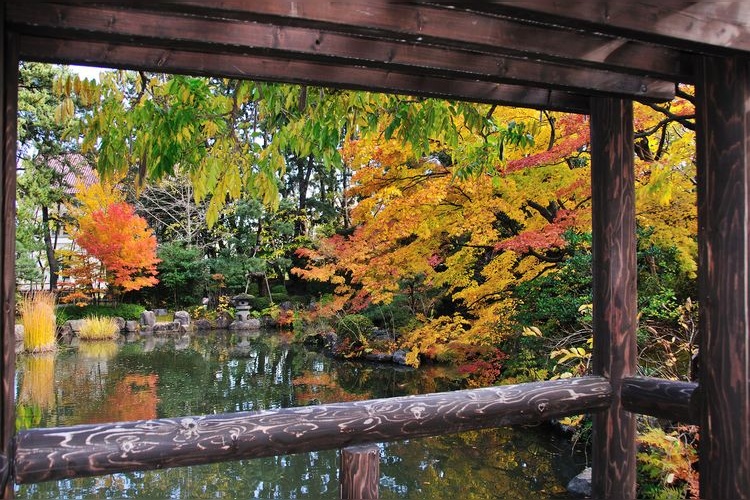 白山公園