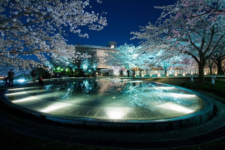 白山公園 2