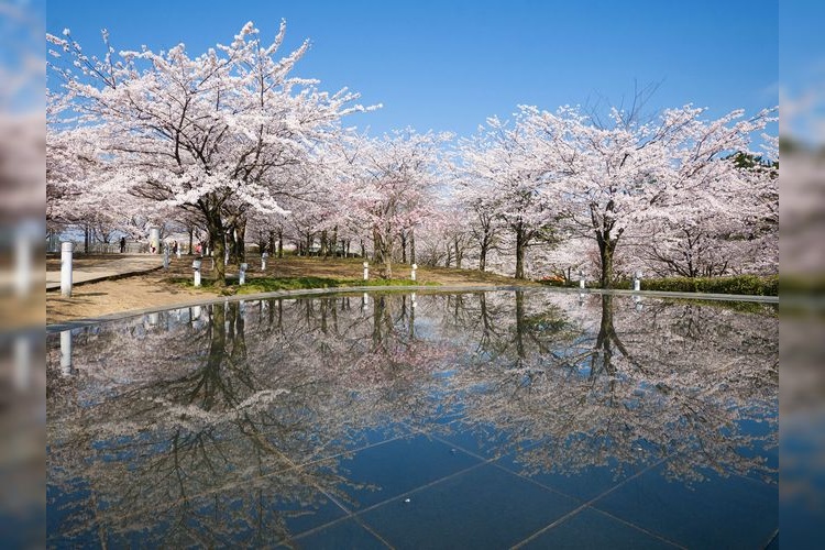 白山公園 3