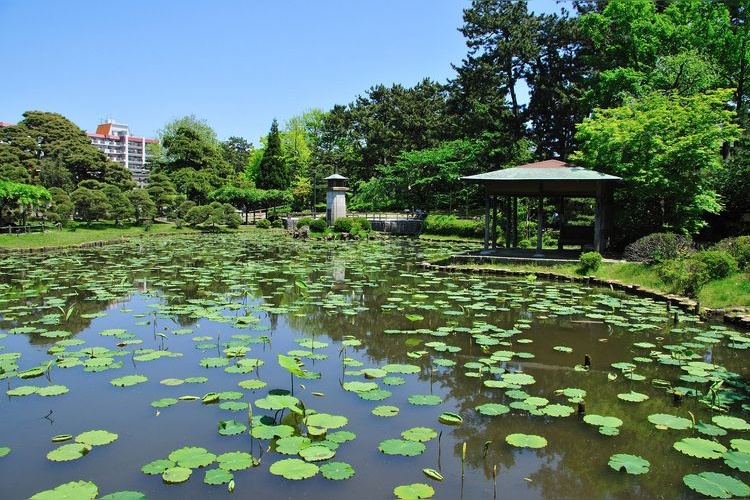 白山公園 4