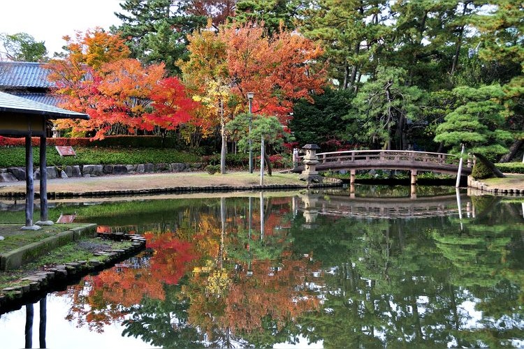 白山公園 6