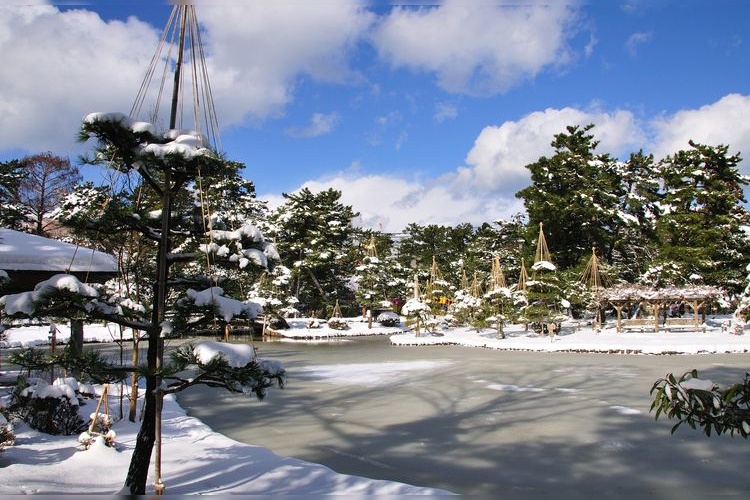 白山公園 8