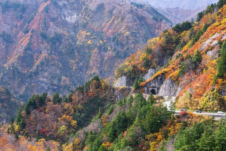 하쿠산 시라카와고 화이트 로드(白山白川郷ホワイトロード)