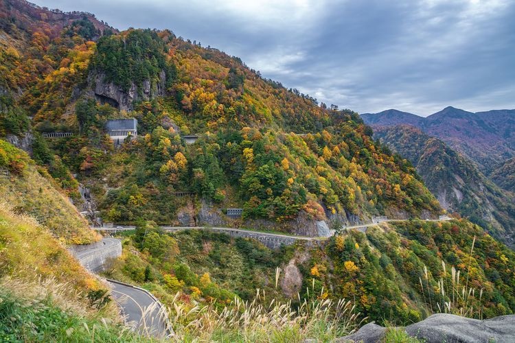 Đường White Road Hakusan Shirakawa-go