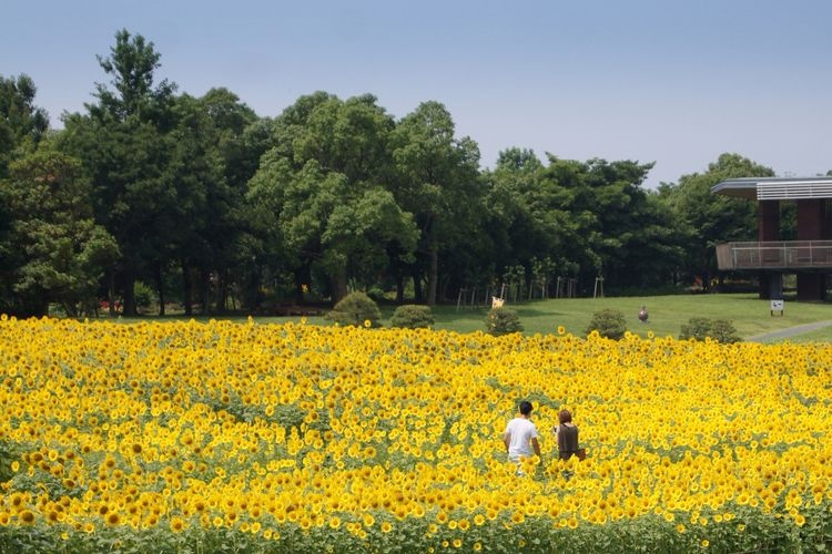 Hamanako Garden Park 2