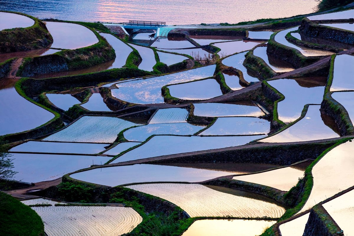 하마노우라 계단식 논 (Hamanoura Rice Terraces)
