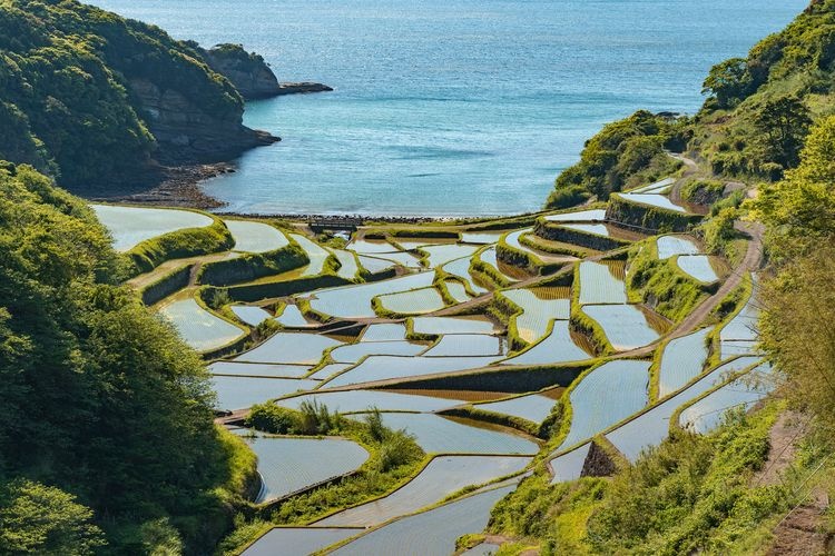 하마노우라 계단식 논 (Hamanoura Rice Terraces) 2
